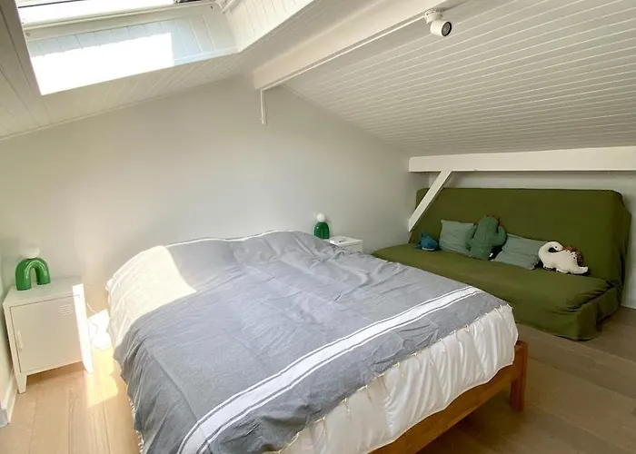 Ocean - Piscine, 500 Metres De La Labenne